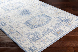 Livabliss Indigo Traditional Polypropylene Accent Rug for Entryways Bathrooms and Bedroom Floors IGO2328-2211