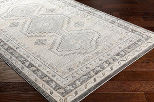Livabliss Indigo Global Bohemian Polypropylene Accent Rug for Entryways and Bedside Spaces IGO2330-2211