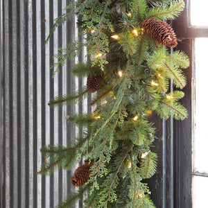 Mixed Evergreen Garland with LED Lights XPW90673 Park Hill