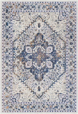 Livabliss Infinity Large Format Traditional Polyester Area Rug Plush Pile for Living Rooms INF2305-1215