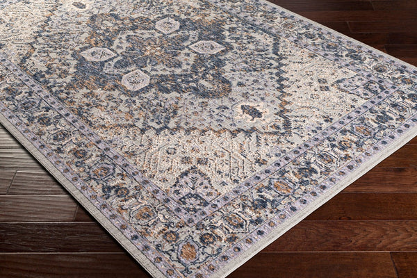 Livabliss Infinity Large Format Traditional Polyester Area Rug Plush Pile for Living Rooms INF2305-1215