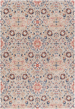 Livabliss Infinity Collection Traditional Pattern Polyester Area Rug for Living and Dining Rooms INF2309-81012