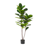 Christopher Knight Home® - Noble House - Socorro 5' X 2.5' Artificial Fiddle-Leaf Fig Tree, Green