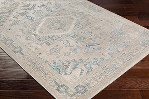 Livabliss Impulse Machine Woven Polypropylene Area Rug with Traditional Pattern for Entryway or Bedroom Deep Teal, Taup 8'10" x 12' IPS2307-81012