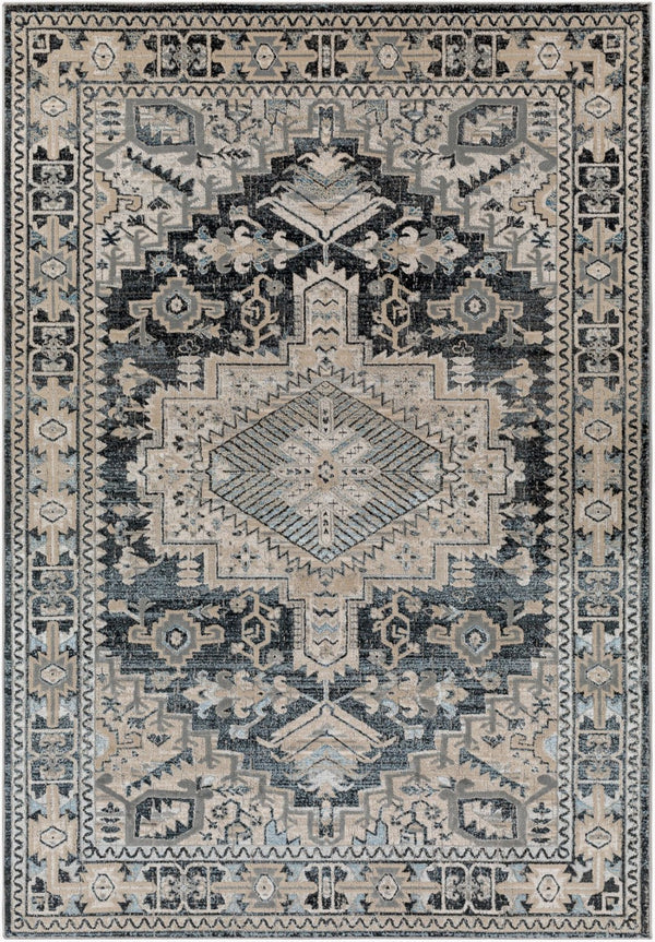 Livabliss Impulse Turkish Crafted Traditional Area Rug with High Low Pile for Entryways and Baths IPS2308-23