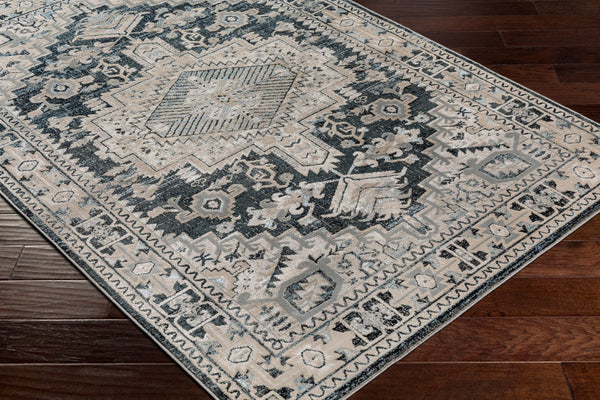Livabliss Impulse Turkish Crafted Traditional Area Rug with High Low Pile for Entryways and Baths IPS2308-23