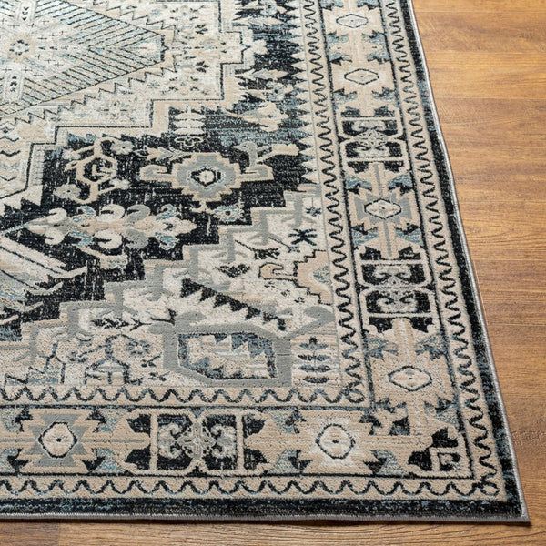Livabliss Impulse Turkish Crafted Traditional Area Rug with High Low Pile for Entryways and Baths IPS2308-23