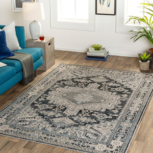 Livabliss Impulse Turkish Crafted Traditional Area Rug with High Low Pile for Entryways and Baths IPS2308-23