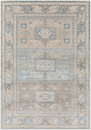 Livabliss Impulse Traditional Polypropylene Machine Woven Area Rug for Transitional Interiors IPS2314-23