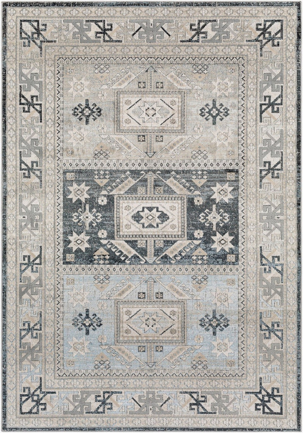 Livabliss Impulse Traditional Pattern Machine Woven Polypropylene Area Rug for Living Rooms IPS2315-81012