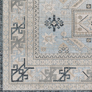 Livabliss Impulse Traditional Pattern Machine Woven Polypropylene Area Rug for Living Rooms IPS2315-81012