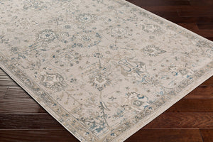 Livabliss Impulse Traditional Machine Woven Area Rug Polypropylene Blend for High Traffic Rooms IPS2318-81012