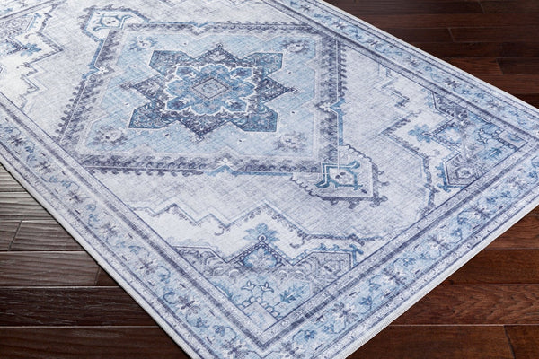 Livabliss Iris Flatweave Polyester Area Rug Traditional Pattern for Entryways and High Traffic Spaces IRS2304-2339
