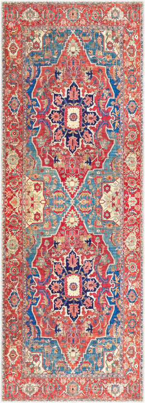 Livabliss Iris Flatweave Polyester Runner Rug Traditional Pattern for Hallway and Entryway IRS2309-2676