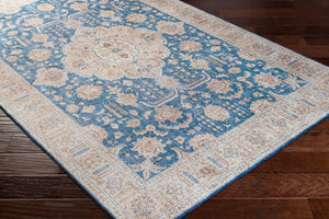 Livabliss Iris Flatweave Polyester Rug Traditional Pattern for Entryways Hallways and Living Rooms IRS2320-2339