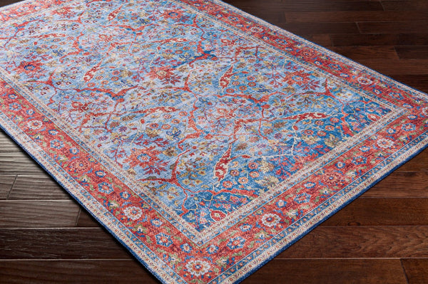Livabliss Iris Flatweave Polyester Area Rug Durable Low Profile Design for High Traffic Spaces IRS2323-912