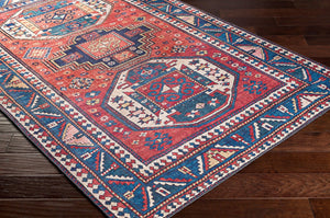 Livabliss Iris Flatweave Accent Rug Traditional Pattern Low Profile Polyester for High Traffic Areas Burnt Orange, Y 2'2" x 3'9" IRS2344-2339