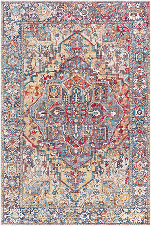 Livabliss Iris Traditional Flatweave Polyester Area Rug for Entryways Bathrooms and High Traffic Zones Rust, Light Oli 8'10" x 12' IRS2358-912