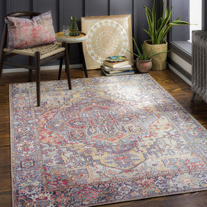 Livabliss Iris Traditional Flatweave Polyester Area Rug for Entryways Bathrooms and High Traffic Zones Rust, Light Oli 8'10" x 12' IRS2358-912