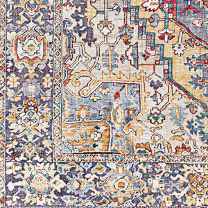 Livabliss Iris Traditional Flatweave Polyester Area Rug for Entryways Bathrooms and High Traffic Zones Rust, Light Oli 2'7" x 7'7" IRS2358-2676