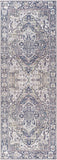 Iris IRS-2359 2'7" x 7'7" Machine Woven Rug IRS2359-2676 Livabliss Surya