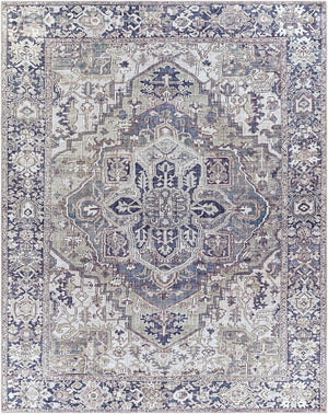 Livabliss Iris Flatweave Polyester Area Rug Traditional Pattern for Entryway Kitchen or Bath Charcoal, Sage 7'6" x 9'6" IRS2359-7696