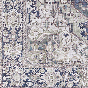 Livabliss Iris Flatweave Polyester Area Rug Traditional Pattern for Entryway Kitchen or Bath Charcoal, Sage 8'10" x 12' IRS2359-912