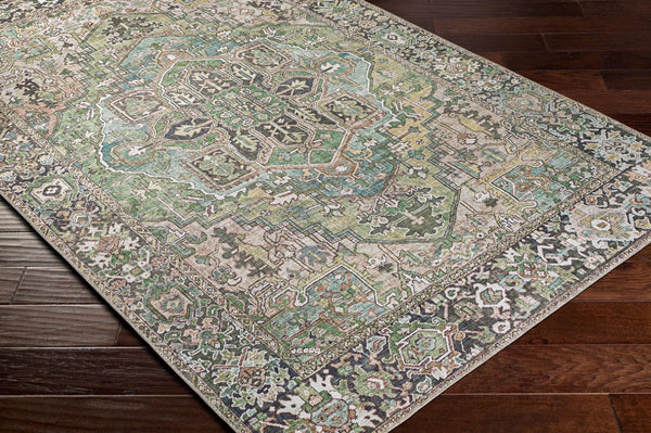 Livabliss Iris Traditional Flatweave Polyester Area Rug for Living Dining or High Traffic Spaces Medium Green, D 10' x 14' IRS2361-1014