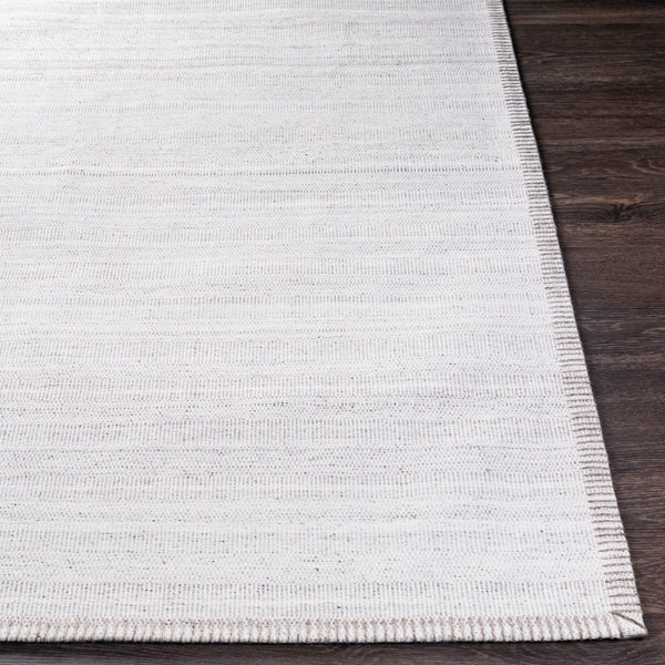 Surya Irvine Hand-woven Viscose Area Rug Artisan Crafted for Entryways and Bedroom Accents IRV2300-23