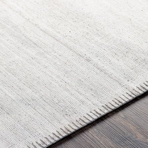 Surya Irvine Hand-woven Viscose Area Rug Artisan Crafted for Entryways and Bedroom Accents IRV2300-23
