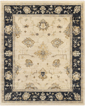 Istanbul IST-1003 8' x 10' Handmade Rug IST1003-810  Light Beige, Dark Green, Olive, Brown Surya