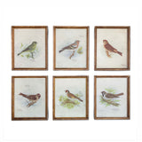 Vintage Bird Framed Prints