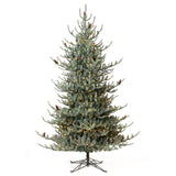 Park Hill Blue Spruce Christmas Tree, 10' XPQ82162 Park Hill