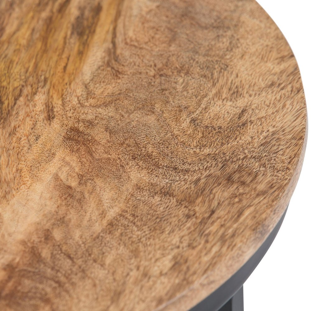 English Elm Jenna Handcrafted Round Side Table with Natural Mango Wood Top and Black Metal Frame, 24"H Light Brown B136P158984