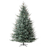 Park Hill Blue Spruce Christmas Tree, 12' XPQ82167 Park Hill