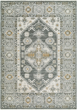 Livabliss Jane Machine Woven Polyester Area Rug with Fringe Border for Living and Bedroom Spaces Charcoal, Light 6'7" x 9' JAA2300-679