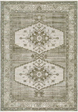 Livabliss Jane Machine Woven Polyester Area Rug with Fringe Border for Living and Dining Rooms Olive, Beige 5'3" x 7' JAA2302-575