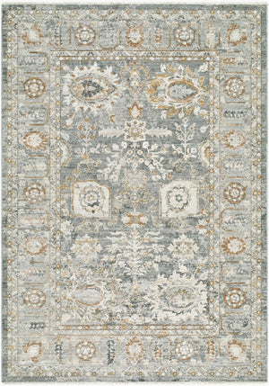 Livabliss Jane Fringe Border Polyester Area Rug Machine Woven in Turkey for Living Dining Bedroom Light Gray, Cha 6'7" x 9' JAA2303-679