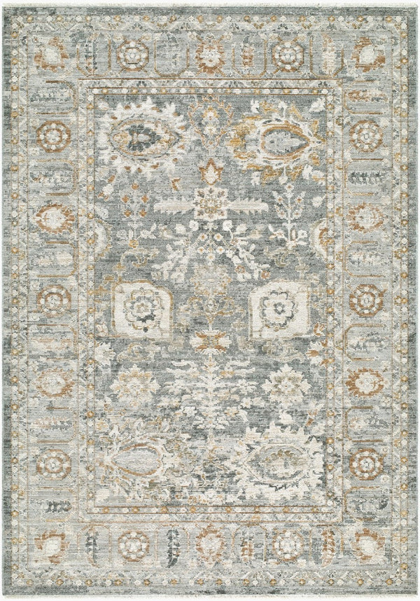 Livabliss Jane Fringe Border Polyester Area Rug Machine Woven in Turkey for Living Dining Bedroom Light Gray, Cha 6'7" x 9' JAA2303-679