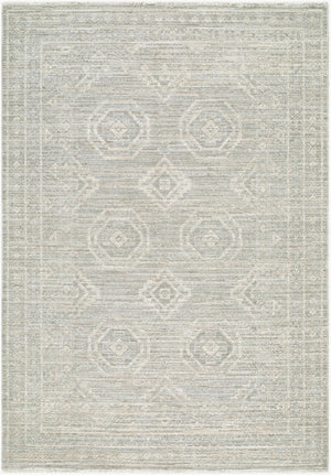 Livabliss Jane Traditional Fringe Area Rug Machine Woven Polyester for Living Room or Hallway Light Gray, Bei 6'7" x 9' JAA2305-679