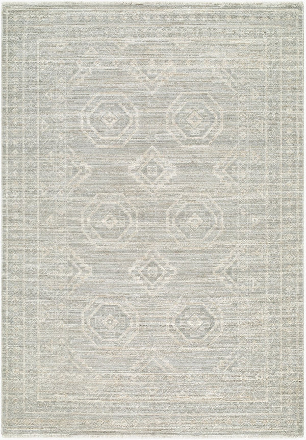 Livabliss Jane Traditional Fringe Area Rug Machine Woven Polyester for Living Room or Hallway Light Gray, Bei 6'7" x 9' JAA2305-679