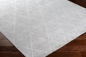 Surya Jaque Elegant 2' X 3' Handmade Viscose Rug - Modern Glam For Your Home, Crafted In India, Luxurious Style Light Gray Viscose Jaq4002-46