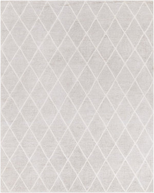 Surya Jaque Elegant 2' X 3' Handmade Viscose Rug - Modern Glam For Your Home, Crafted In India, Luxurious Style Light Gray Viscose Jaq4002-810