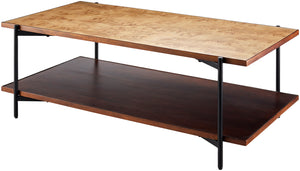 Judith JDI-001 17"H x 48"W x 24"D Coffee Table JDI-001  Top: Brown; Base: Gray Surya