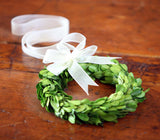 Mini Preserved Boxwood Wreaths, Set of 6 EBD80095 Park Hill