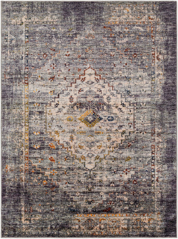 Livabliss Jefferson Traditional Polyester Area Rug with Lustrous Sheen for Entryways and Bedrooms JFS2307-274