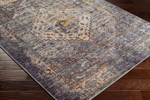 Livabliss Jefferson Traditional Polyester Area Rug with Lustrous Sheen for Entryways and Bedrooms JFS2307-274