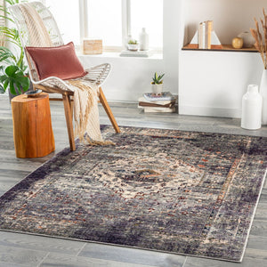 Livabliss Jefferson Traditional Polyester Area Rug with Lustrous Sheen for Entryways and Bedrooms JFS2307-274