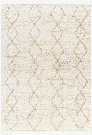 Livabliss Jakarta Global Motif Machine Woven Polyester Area Rug for Large Living Spaces JKT2302-9212