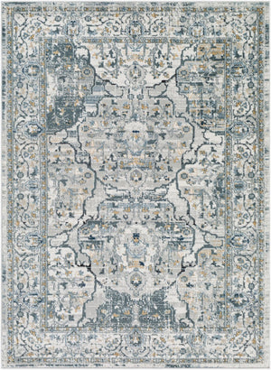 Livabliss Jolie Traditional Area Rug Machine Woven Polypropylene Medium Pile Living Room JLO2301-679